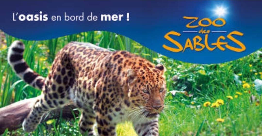 Remblai Des Sables D'Olonne - 2 Chambres - Parking Et Piscine Les Sables-dʼOlonne 외부 사진
